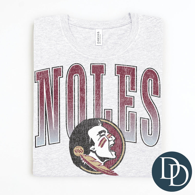 FL State Distressed Arch *DTF Transfer*