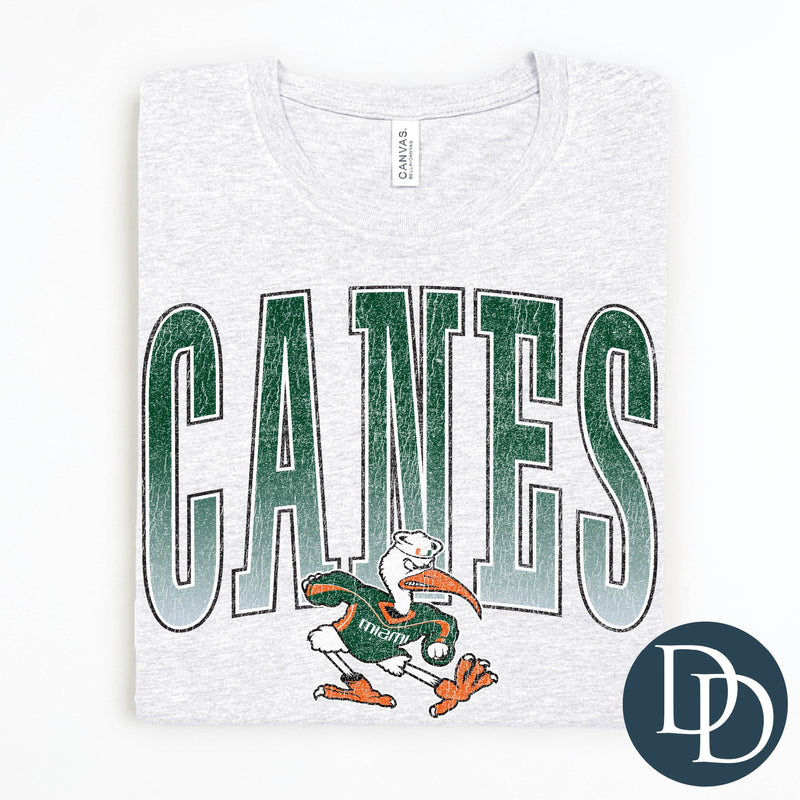 Miami Distressed Arch *DTF Transfer*